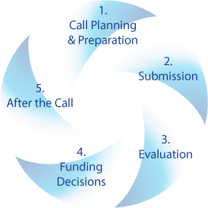 Implementing Joint Calls